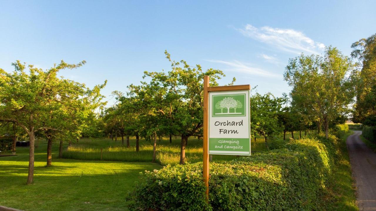 גלסטונברי Orchard Farm Luxury Glamping And Campsite מראה חיצוני תמונה