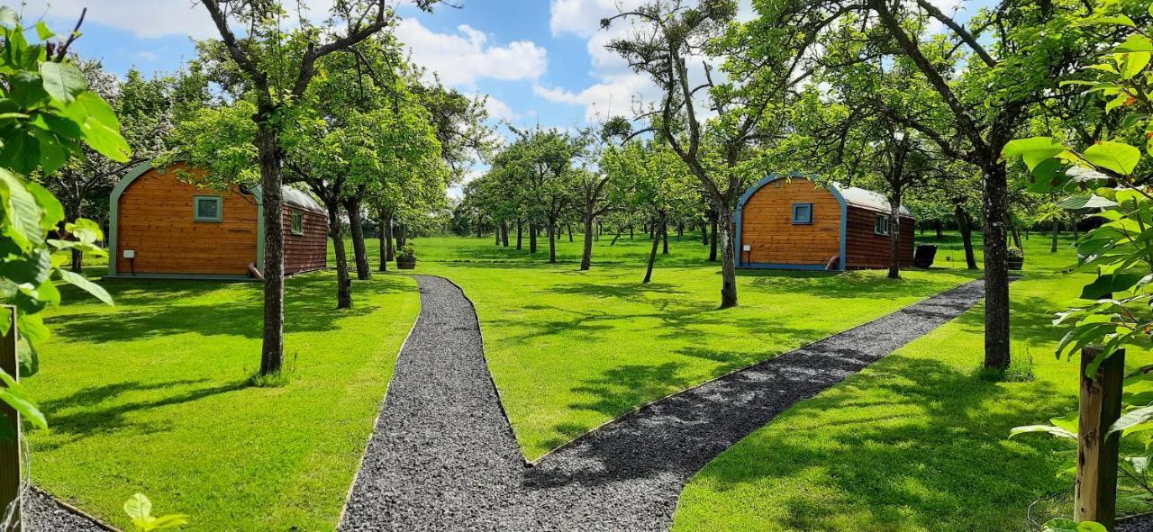 גלסטונברי Orchard Farm Luxury Glamping And Campsite מראה חיצוני תמונה