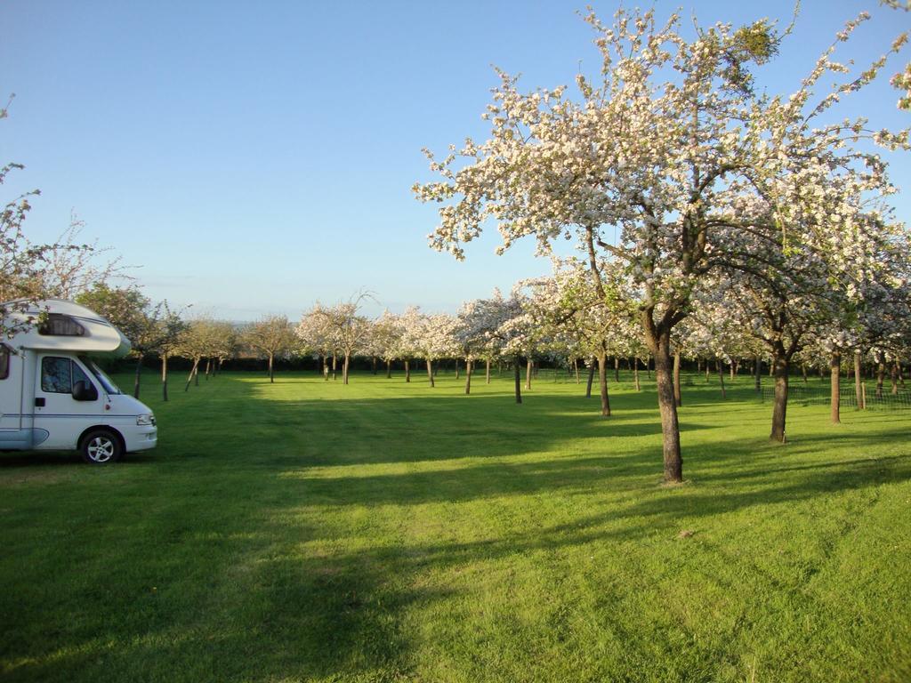 גלסטונברי Orchard Farm Luxury Glamping And Campsite מראה חיצוני תמונה