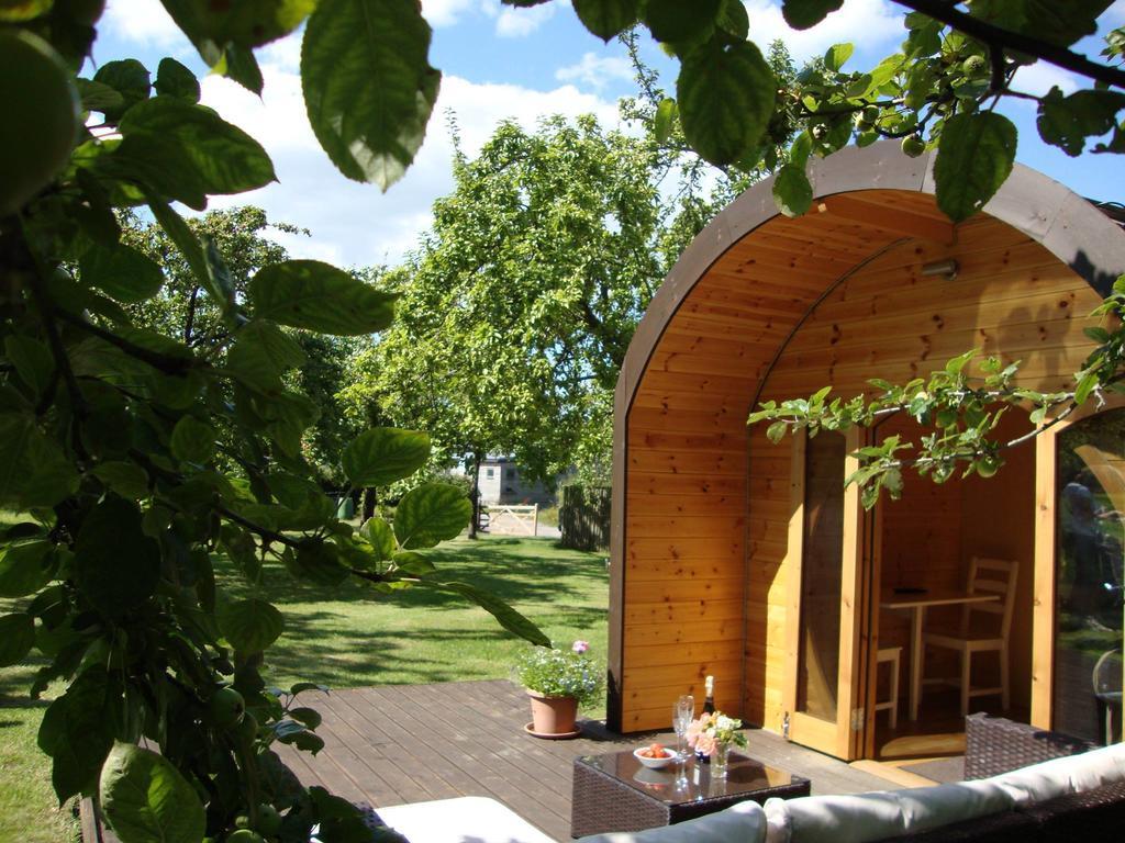 גלסטונברי Orchard Farm Luxury Glamping And Campsite מראה חיצוני תמונה