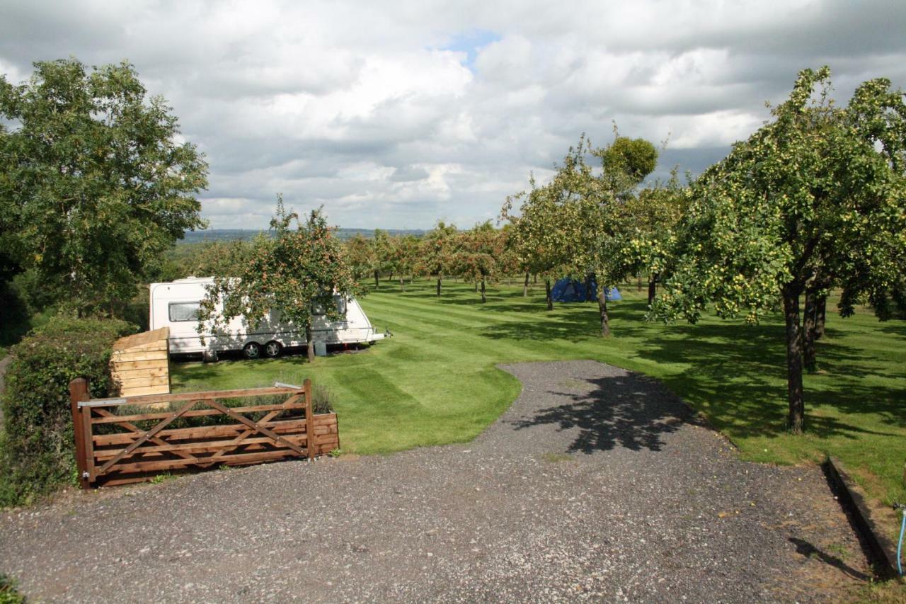 גלסטונברי Orchard Farm Luxury Glamping And Campsite מראה חיצוני תמונה